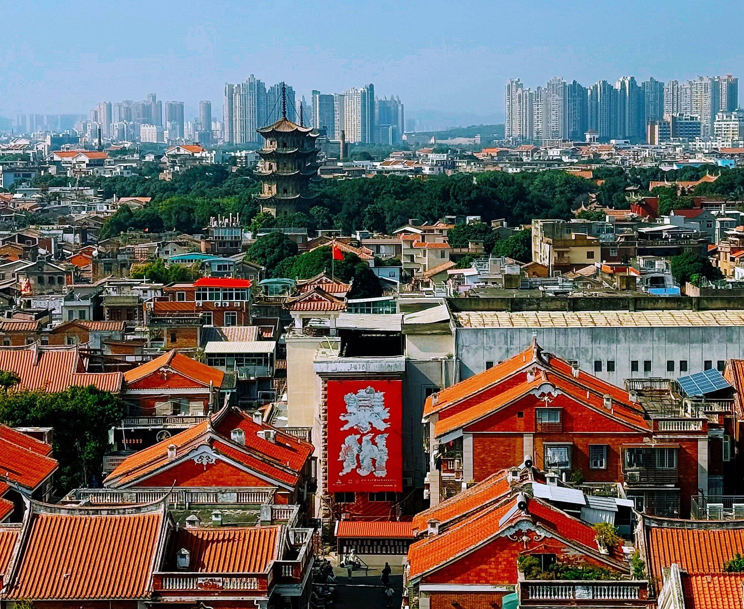 刺桐幻境：广义人文关系的田野实验